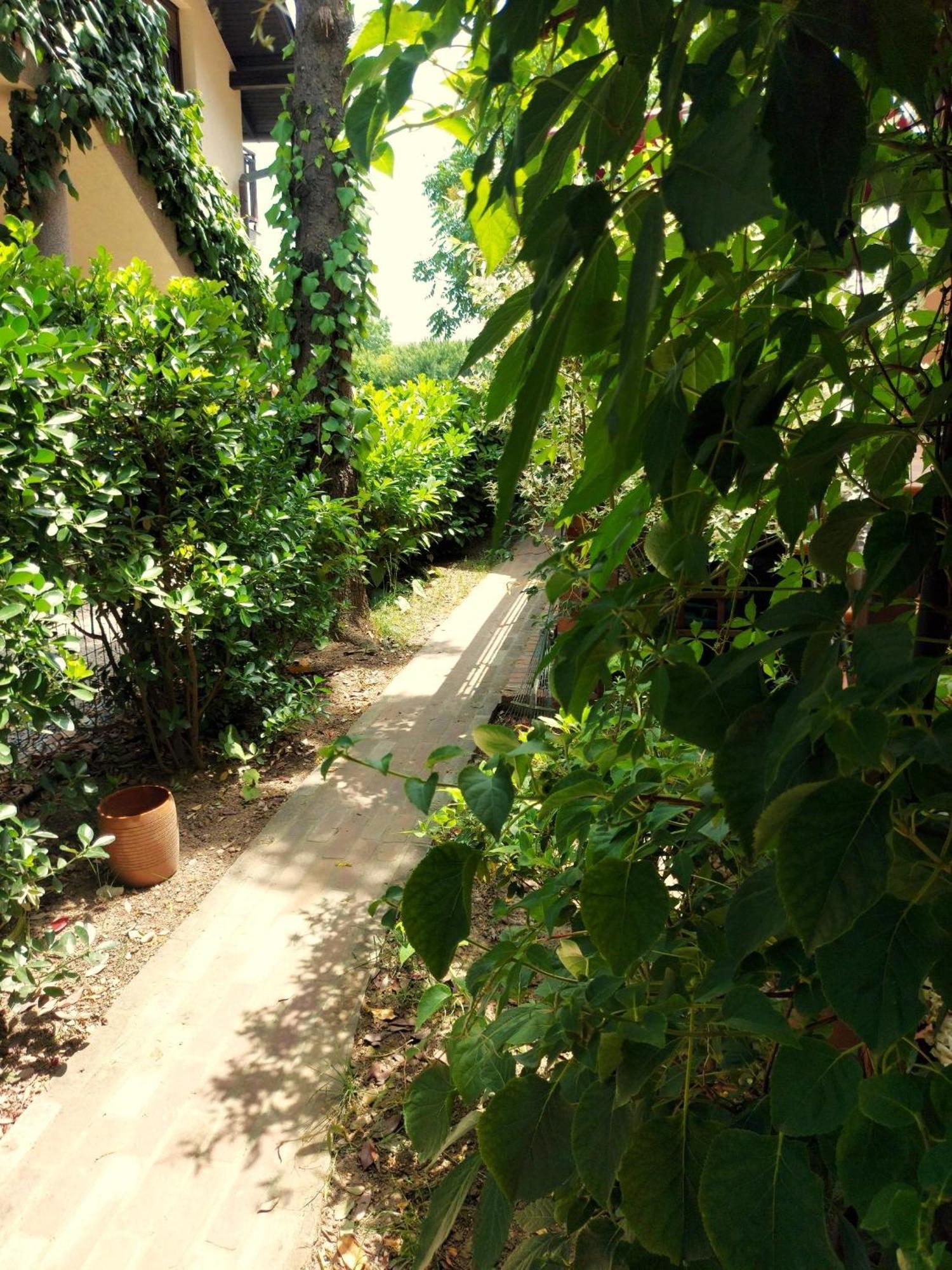 Eden Apartment Sveta Nedjelja  Экстерьер фото